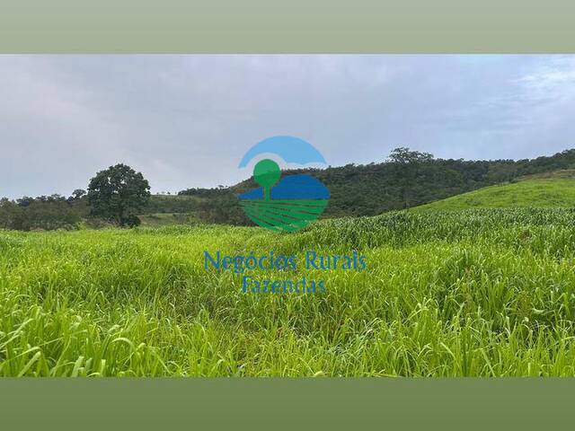 Venda em zona rural - Porto Nacional