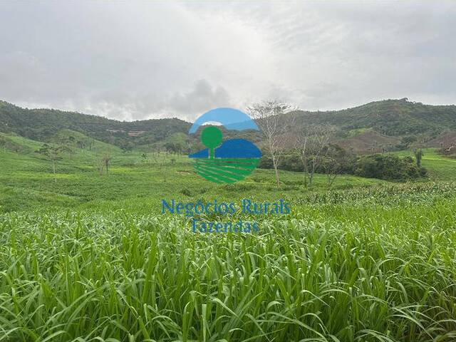 #482 - Fazenda para Venda em Porto Nacional - TO - 2