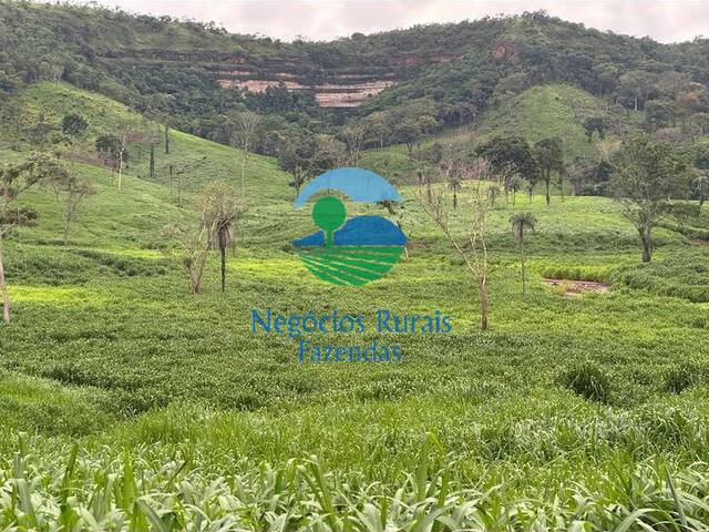 #482 - Fazenda para Venda em Porto Nacional - TO - 3