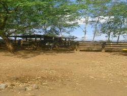 Fazenda para Venda em Niquelândia - 3
