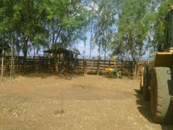 Fazenda para Venda em Niquelândia - 5
