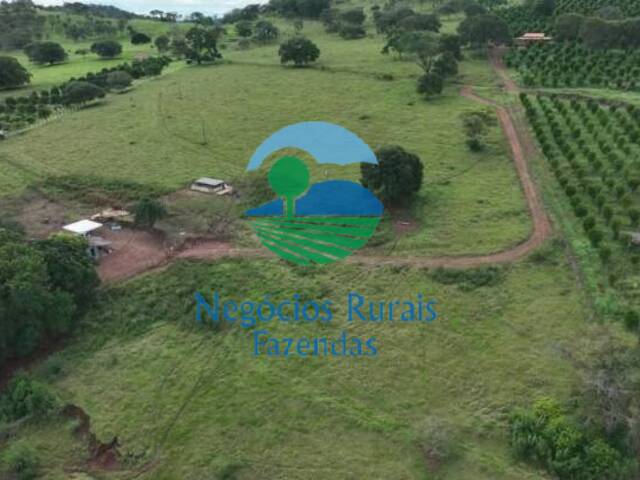 #514 - Chácara para Venda em Nerópolis - GO - 1