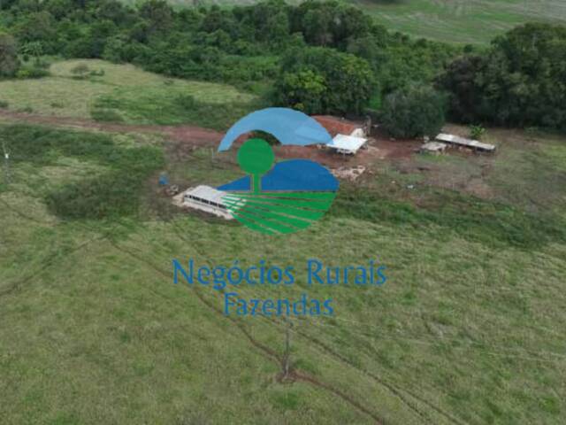 #514 - Chácara para Venda em Nerópolis - GO - 2