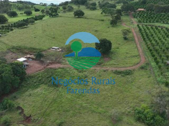 Chácara para Venda em Nerópolis - 5
