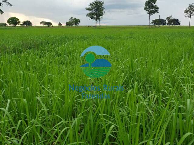#523 - Fazenda para Venda em Santa Fé do Araguaia - TO - 1