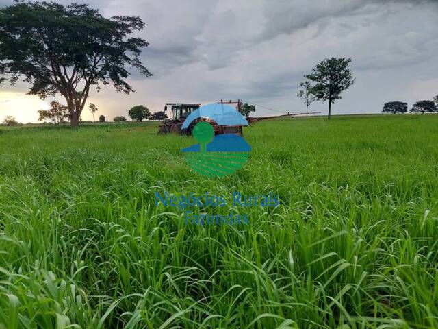 #523 - Fazenda para Venda em Santa Fé do Araguaia - TO - 2
