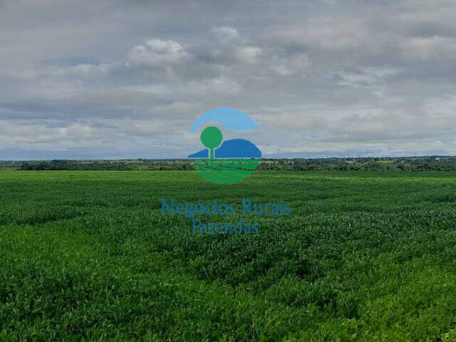 #523 - Fazenda para Venda em Santa Fé do Araguaia - TO - 3