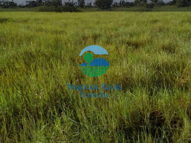 #524 - Fazenda para Venda em Nova Olinda - TO - 2