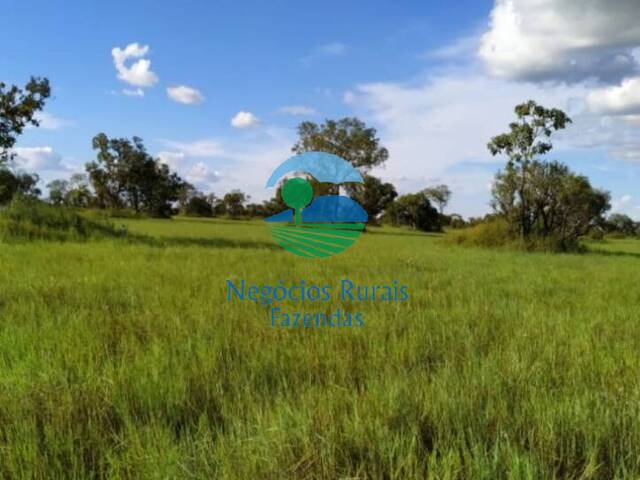 #524 - Fazenda para Venda em Nova Olinda - TO - 3