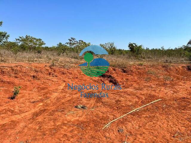 #525 - Fazenda para Venda em Darcinópolis - TO - 2