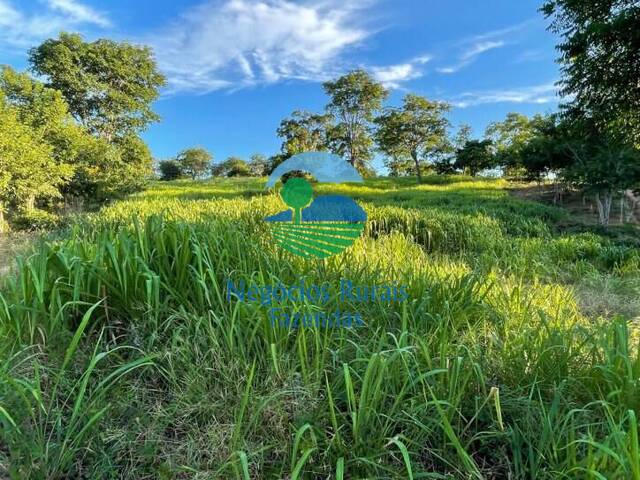 #530 - Fazenda para Venda em Januária - MG - 2