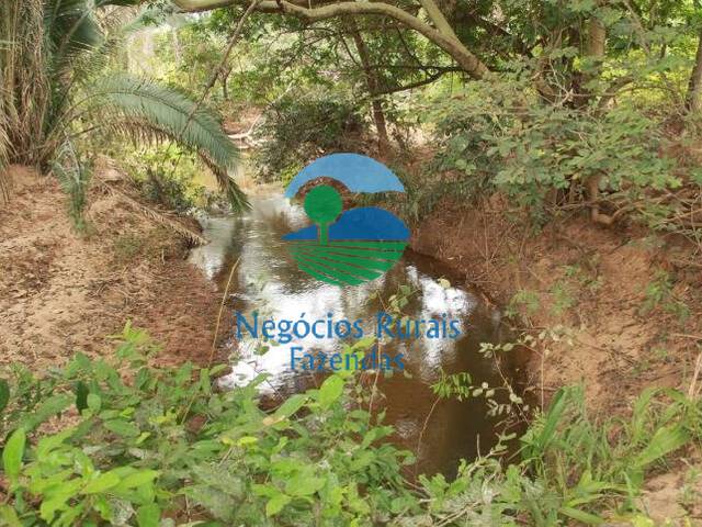 #530 - Fazenda para Venda em Januária - MG - 3