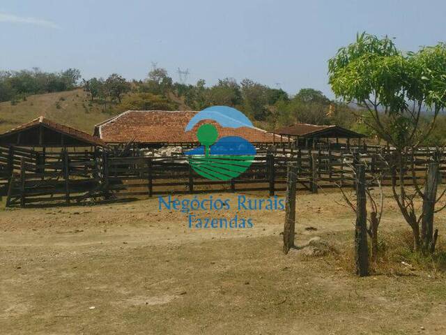 Fazenda para Venda em Barro Alto - 2