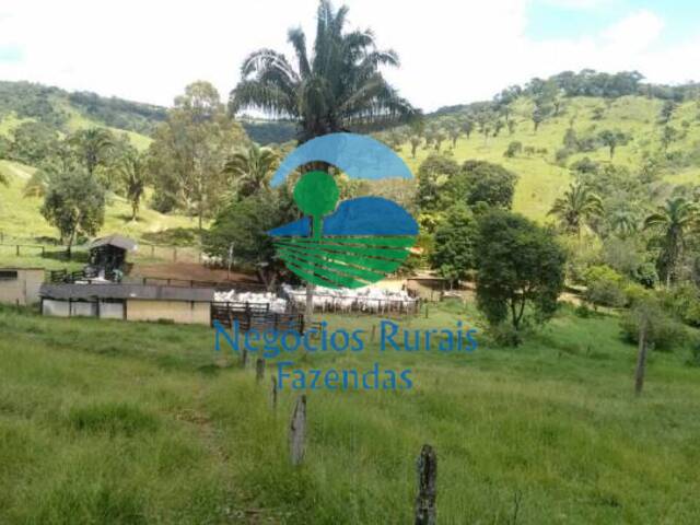 Fazenda para Venda em Cocalzinho de Goiás - 2