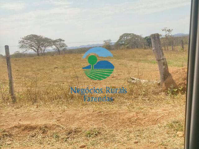 Fazenda para Venda em Barro Alto - 4