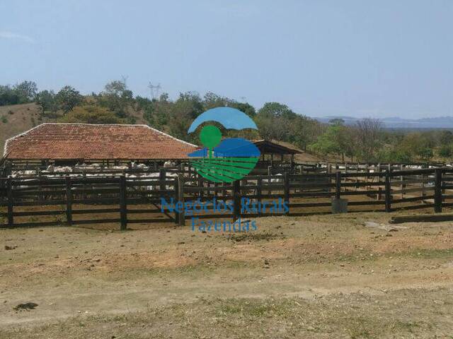 Fazenda para Venda em Barro Alto - 5