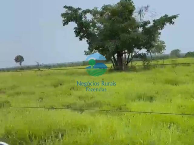 Fazenda para Venda em Araguaína - 2