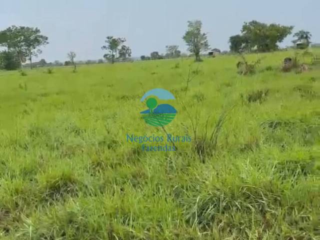 Fazenda para Venda em Araguaína - 3
