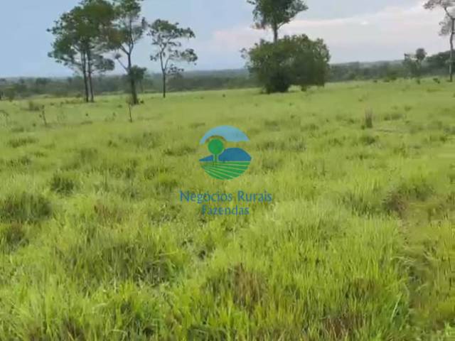 Fazenda para Venda em Araguaína - 4