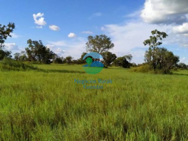 Fazenda para Venda em Nova Olinda - 2