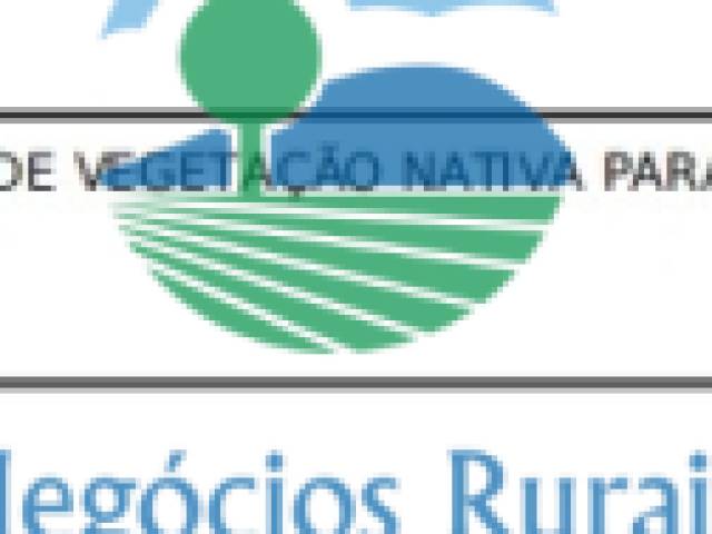 Fazenda para Venda em Barro Alto - 3