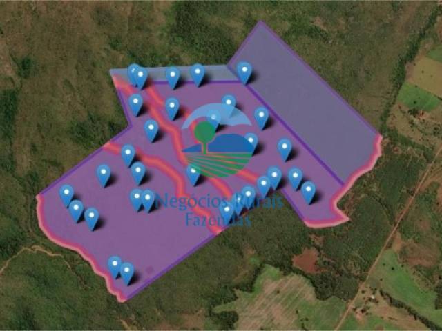 Fazenda para Venda em Barro Alto - 5