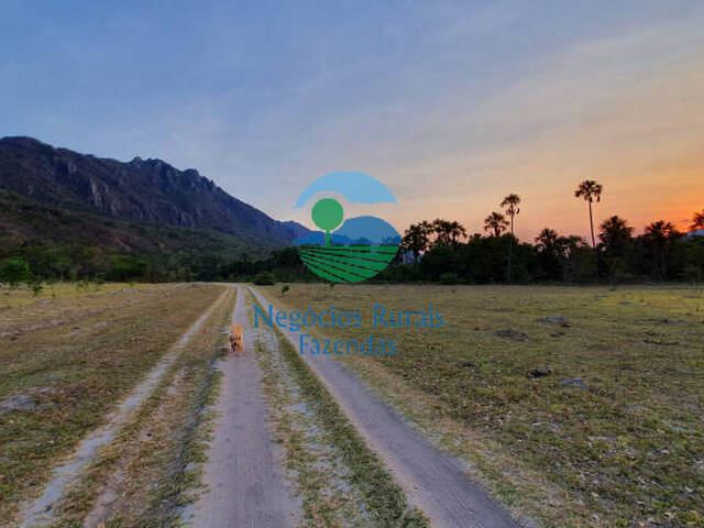 Fazenda para Venda em Cavalcante - 2