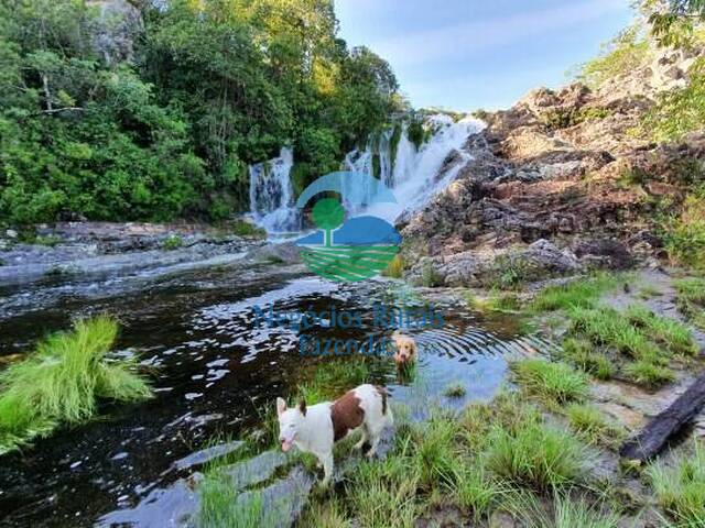 Fazenda para Venda em Cavalcante - 5