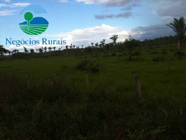 Fazenda para Venda em São Luís - 2