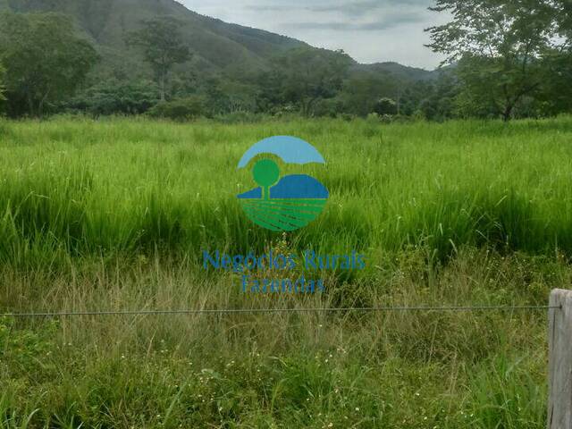 #12 - Fazenda para Venda em Natividade - TO - 3